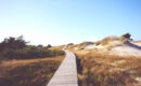 wooden boardwalk through a field