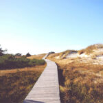 wooden boardwalk through a field